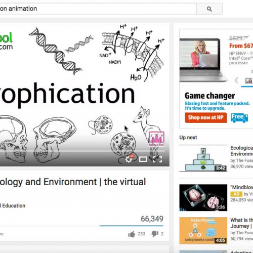 Unit 7 Eutrophication Video