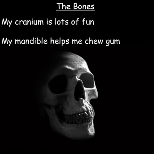 The Bones Song sing-along