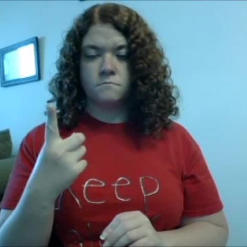 Chores, Routines, Animals Test