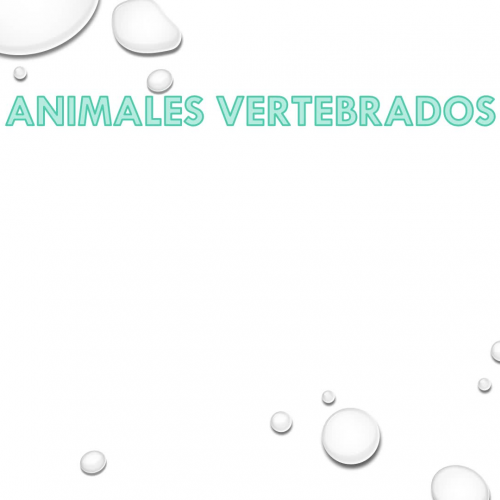 ANIMALES VERTEBRADOS