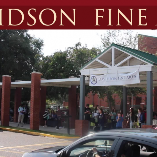 Davidson Fine Arts Promo