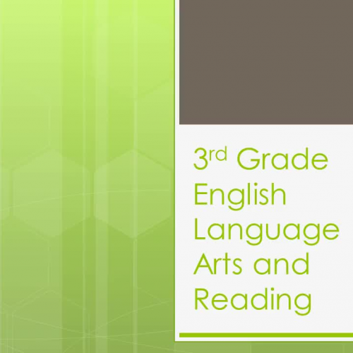 Flipped Video Project