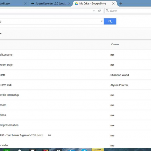 5th Grade Digital Artist Statement