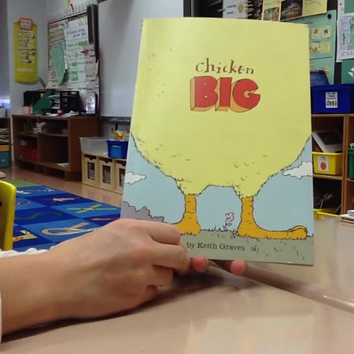 Second Grade Read Aloud