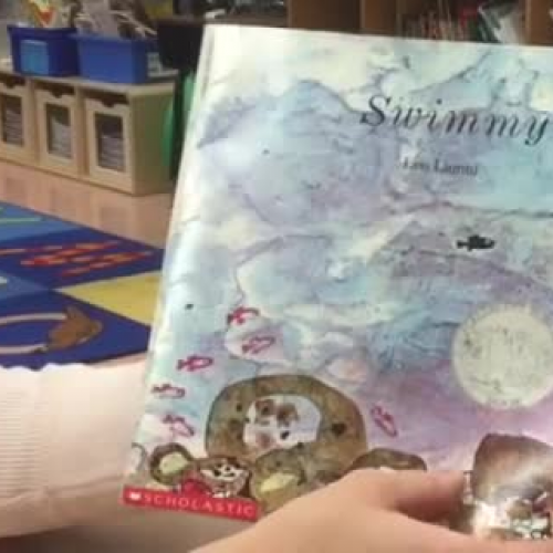 Second Grade Read Aloud