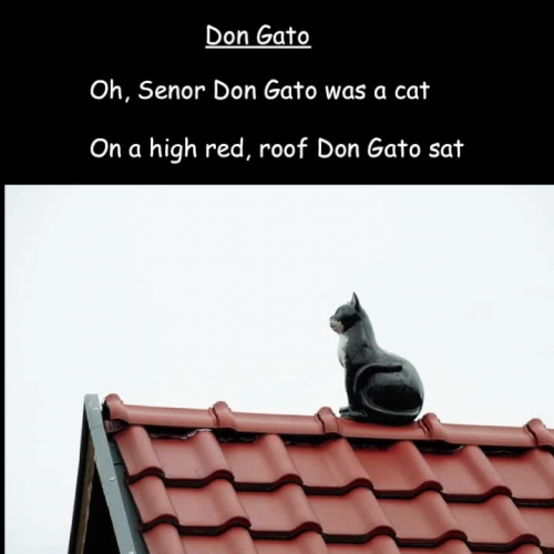 Senor Don Gato sing-along