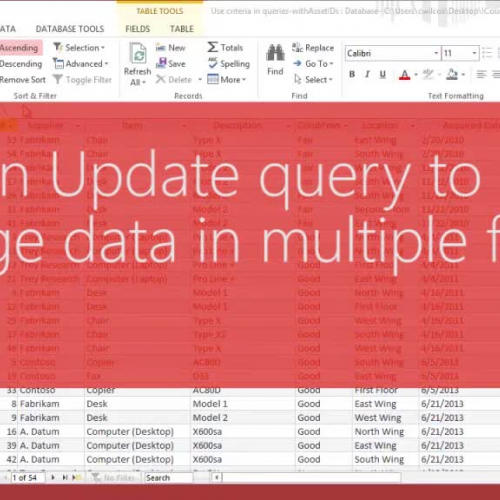 Use an Update query to change data in multiple fields