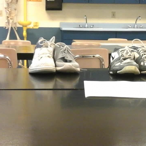 Genetics - Isaac and Owen