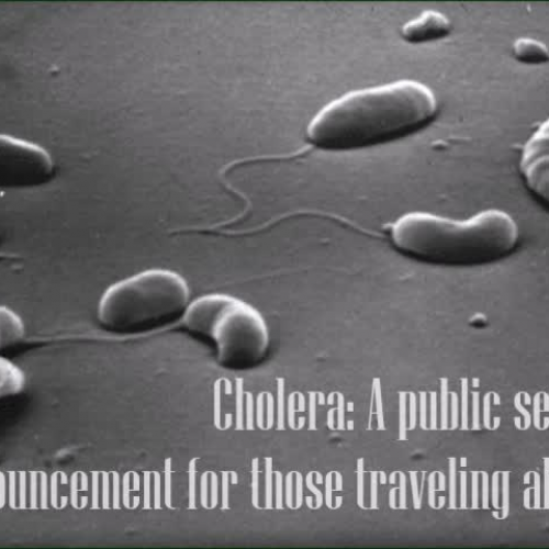 Cyr M5 assignment, Cholera PSA