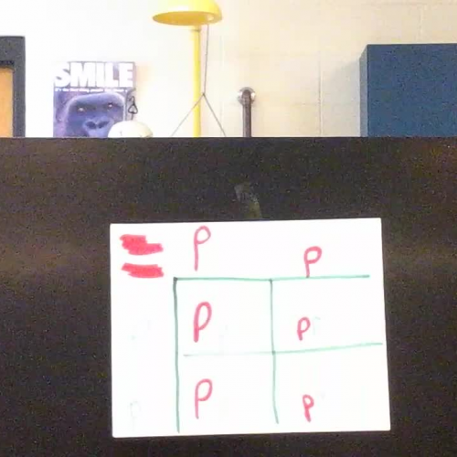 Genetics - Leah and Jacey