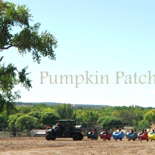 Pumpkin Patch Kids | Nizhoni Elementary School at Sutherland Farms | Aztec, NM | CCSD