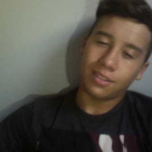 03.02 Describe the Family Visual Presentation