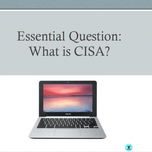 CISA NOTES FOR PD