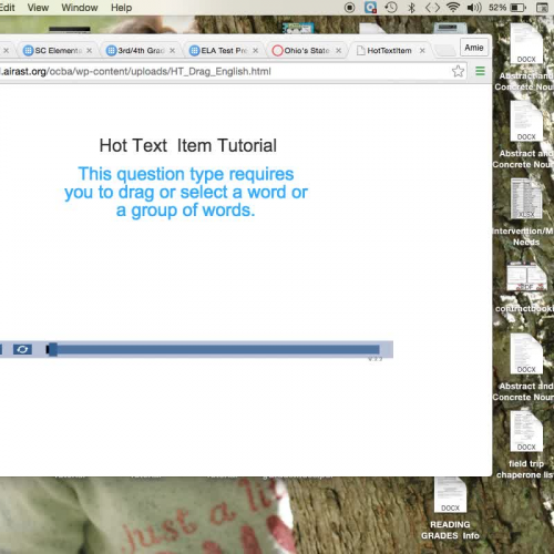 AIRs Hot Text Item Tutorial - Ohio