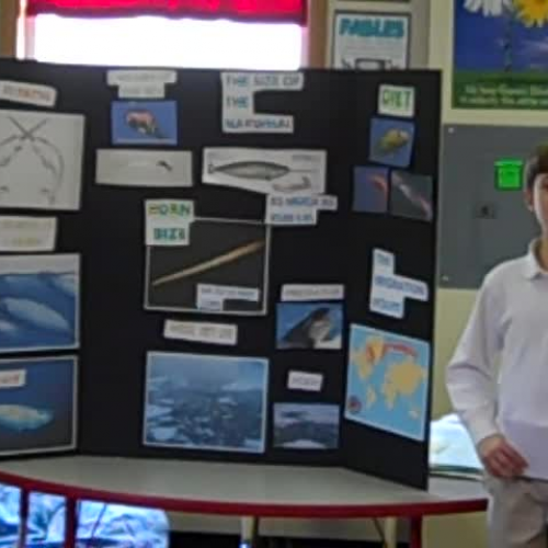 Nicholas Arduino discovery quest