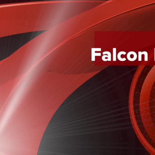Falcon news  11.10.15
