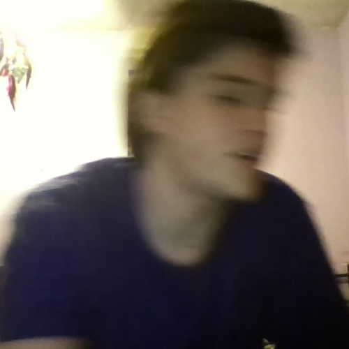 03.02 Describe the Family Visual Presentation: 