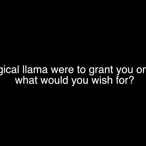 If A Magical Llama Granted You A Wish . . . .- Abby McDowell & Dacey Ontiveros