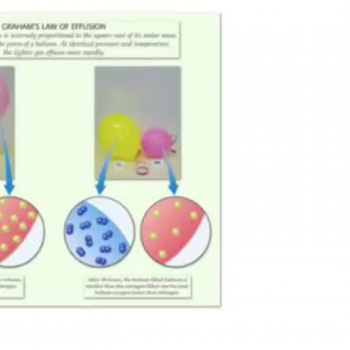 Graham's Law and Effusion