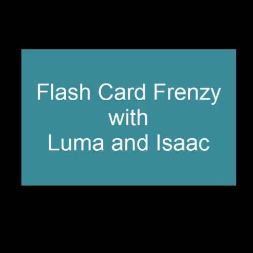 Flash Card Frenzy