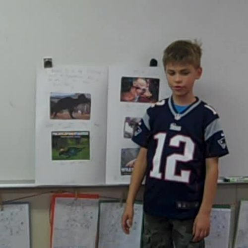 brighton fontaines discovery quest