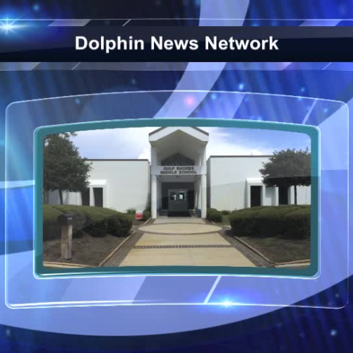 Dolphin News Network 11/10/.15