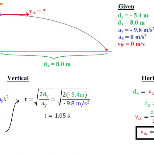 Fish Problem Solution