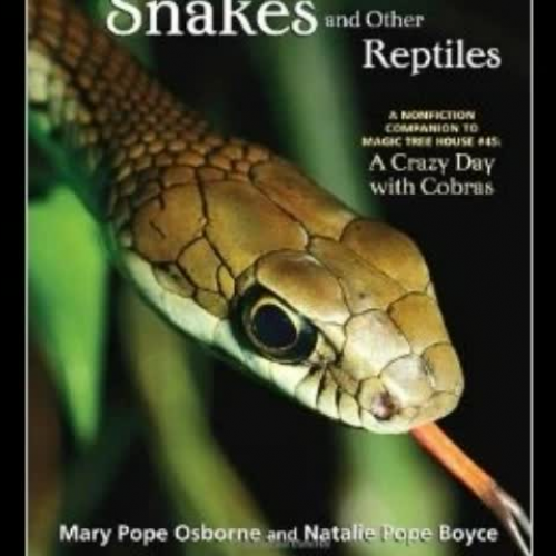 Jefferson Book Trailer: Snakes and other Reptiles XV)