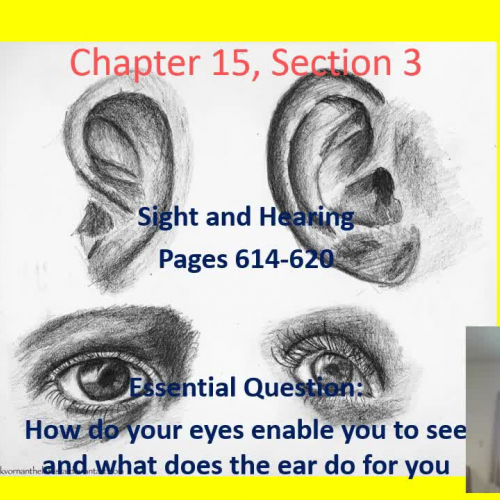 2015 Chapter 15 Section 3
