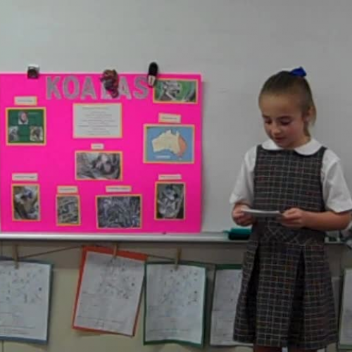 sara gibbons discovery quest