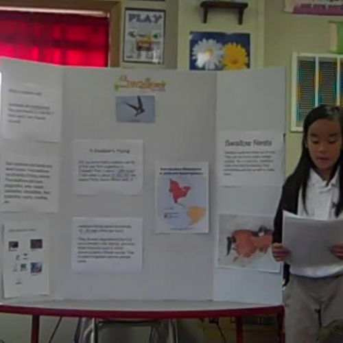 Lucy Ke discovery quest