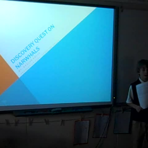 declan kelly discovery quest