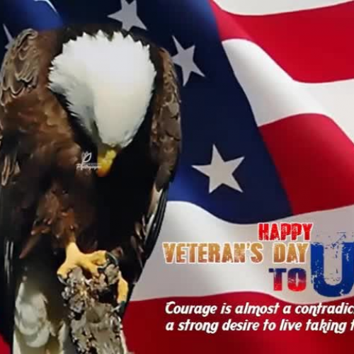 Veterans Day Competition #2