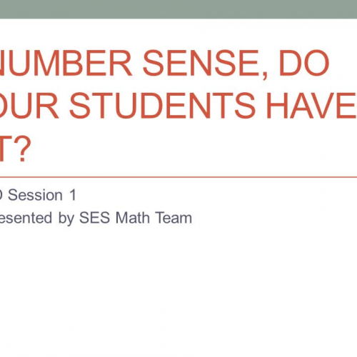 Number Sense PD 1