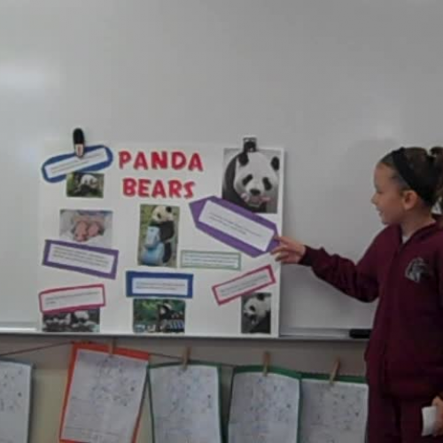 brynn hasson discovery quest