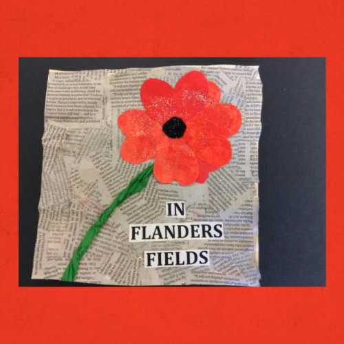 In Flanders Fields