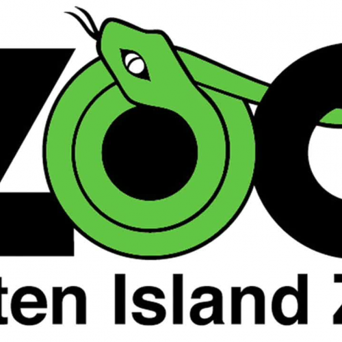 Staten Island Zoo Crowned Crane