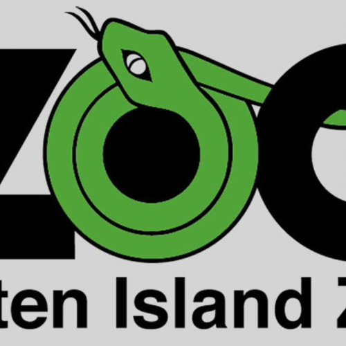 Staten Island Zoo Black Handed Spider Monkeys