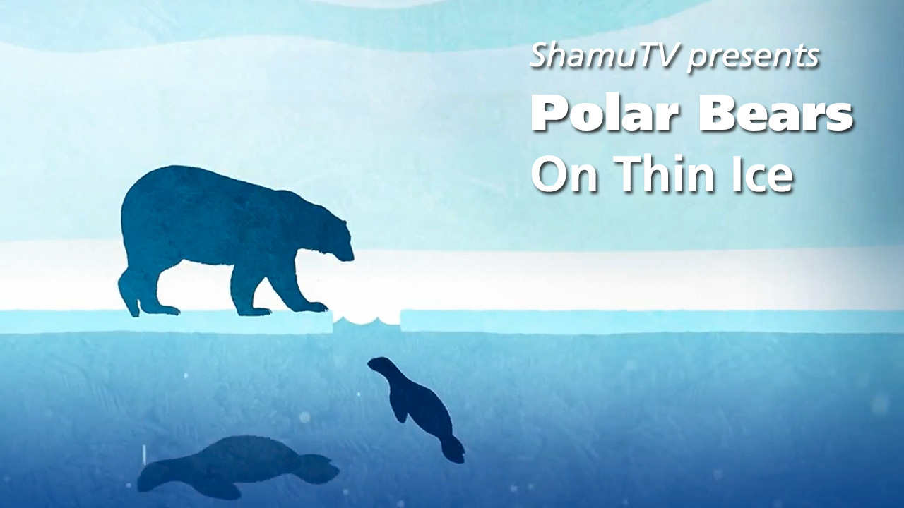 Shamu TV: Polar Bears - On Thin Ice