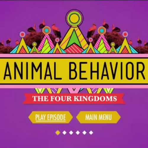 Animal Behavior