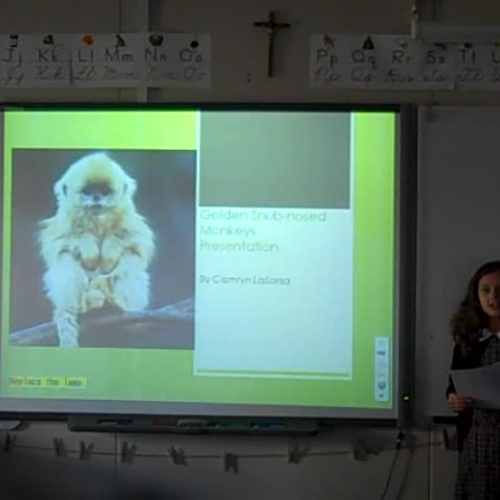 camryn lasorsa discovery quest