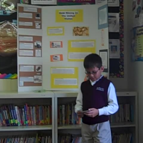 ricky discovery quest