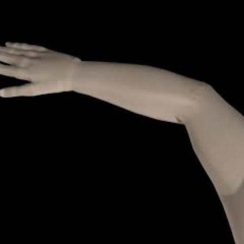 Skin, Hair, and Nails