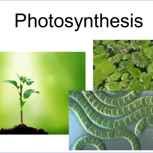 Photosynthesis 