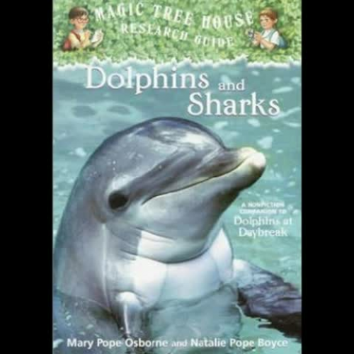 Jefferson Book Trailer: Dolphins and Sharks (JA)