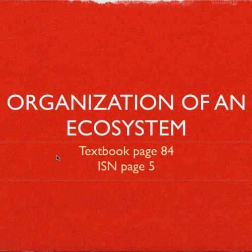 Organization of an Ecosystem