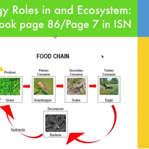 Energy Roles in an Ecosystem