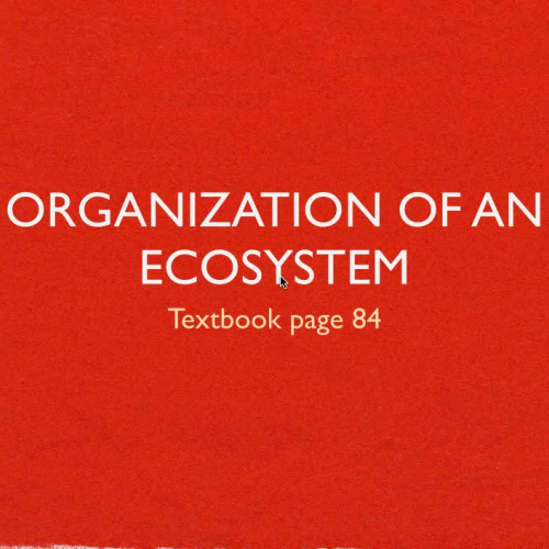 Organization of an Ecosystem