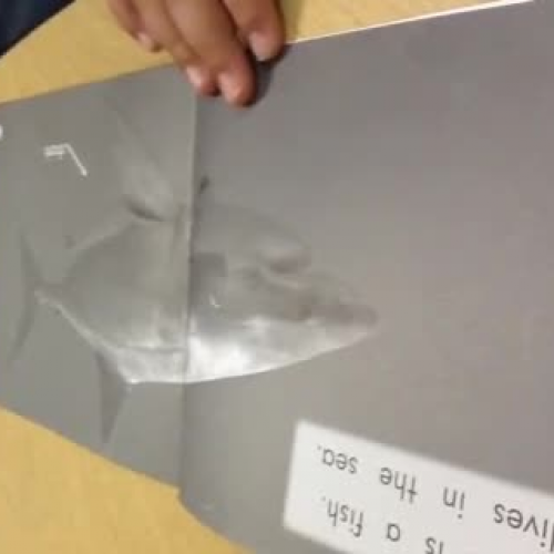 2nd grade reading November