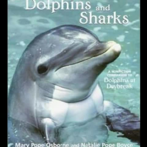 Jefferson Book Trailer: Dolphins and Sharks (ZR)